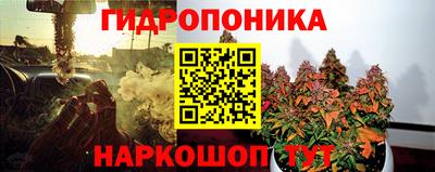 ПСИЛОЦИБИНОВЫЕ ГРИБЫ Краснознаменск