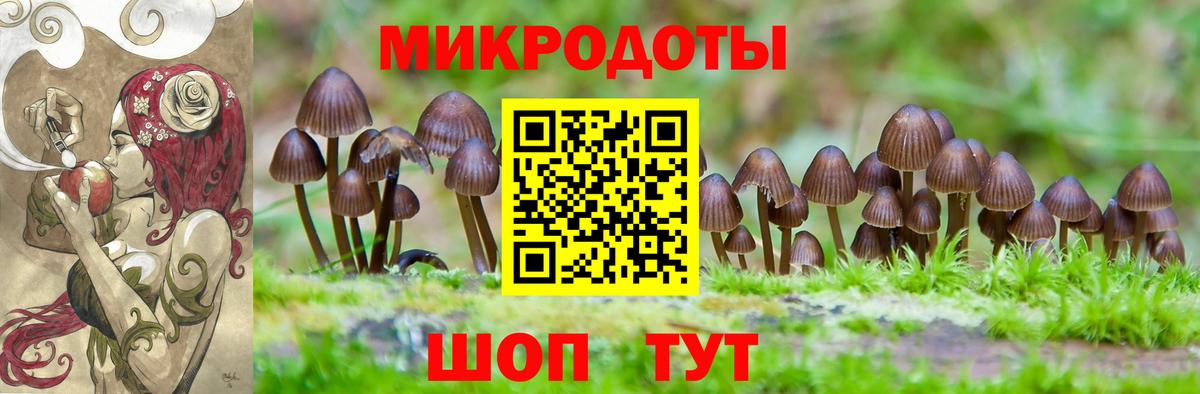 как найти   Вход с VPN  Энгельс  Псилоцибиновые грибы ЛСД 